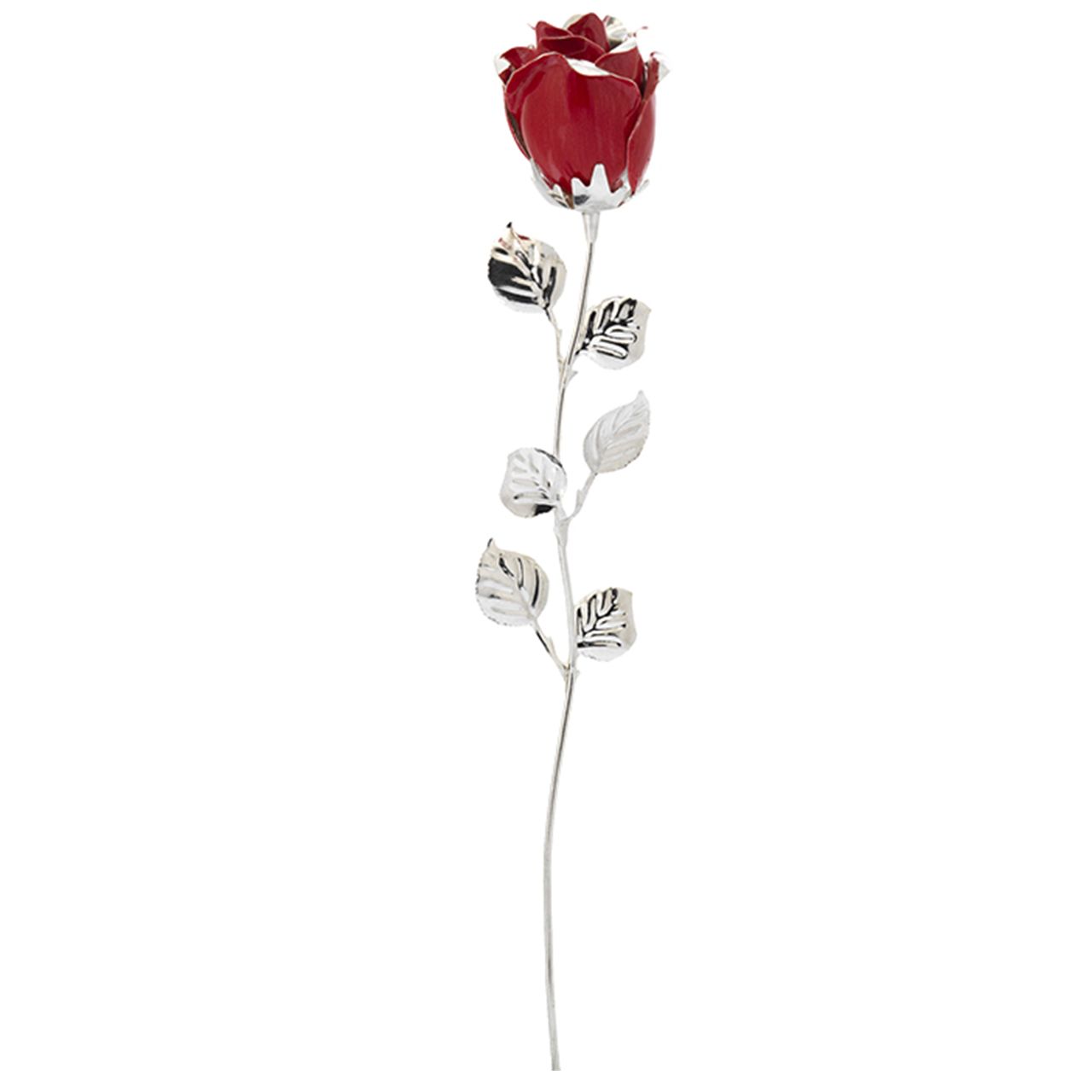 ROSA CM 33 - ROSSO